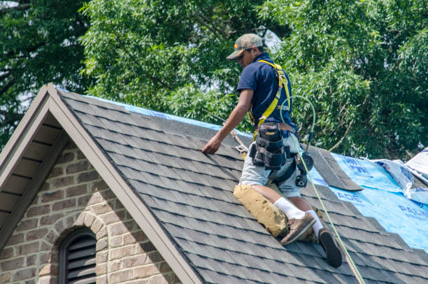 Roof Gutter Cleaning in East Lansing, MI